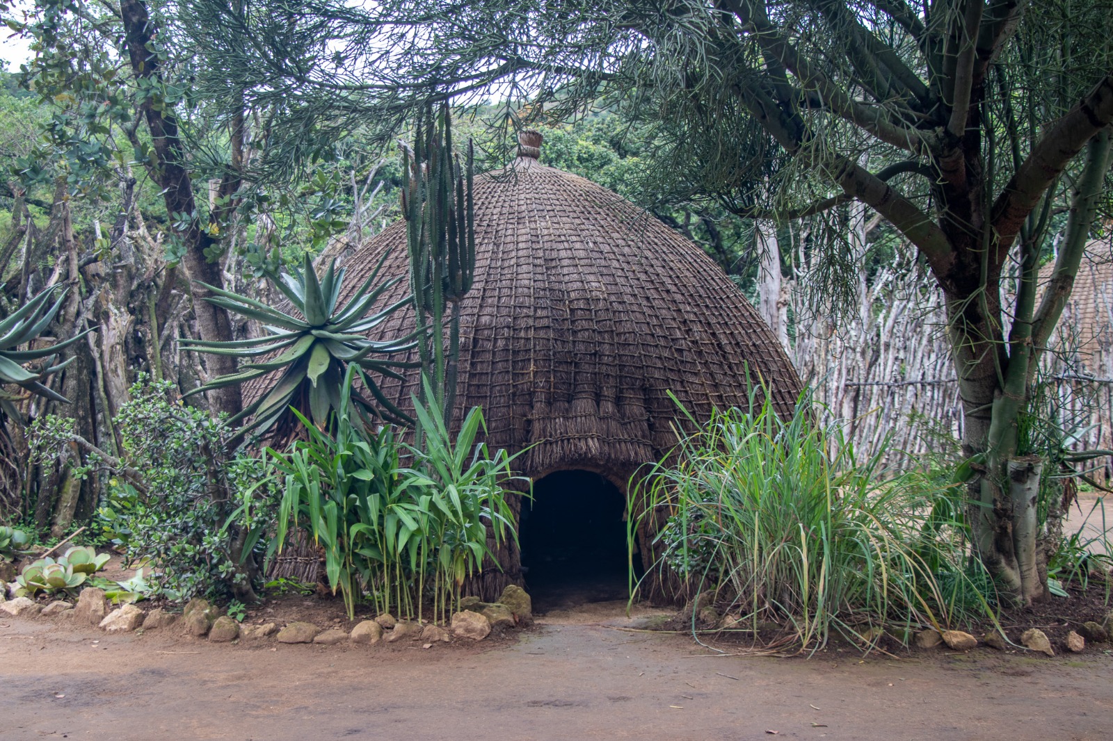 Traditional hut structure